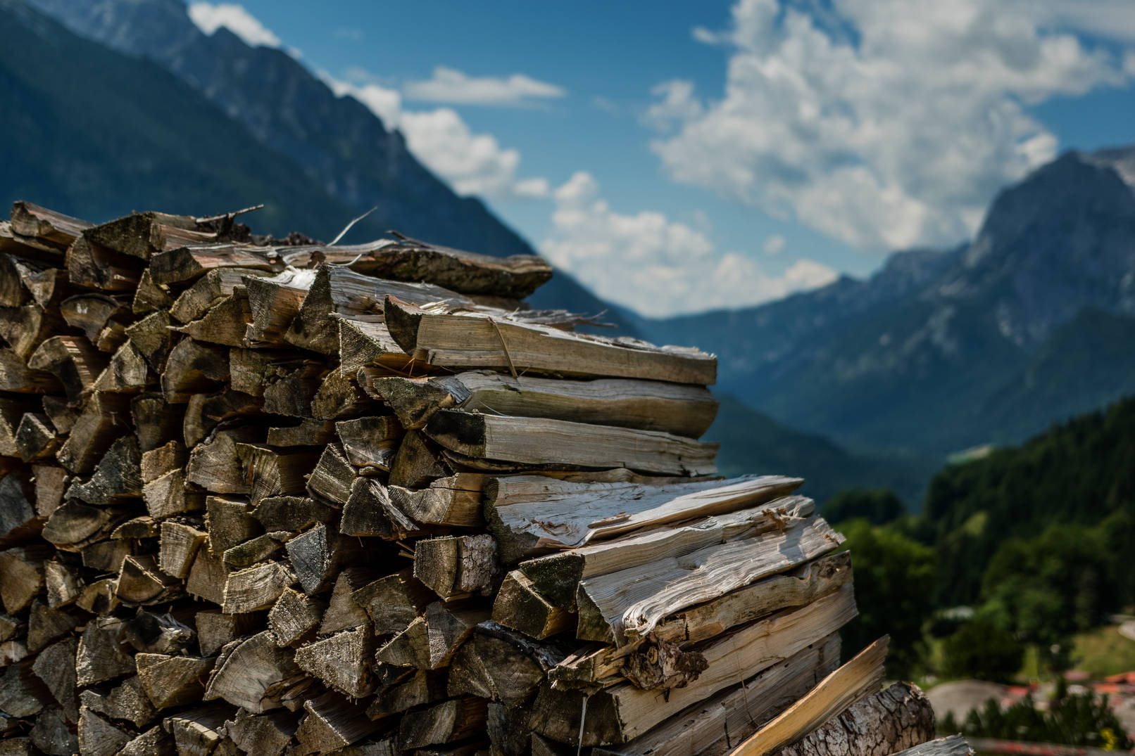 Portfolio-Pile-of-logs-in-mountainscape